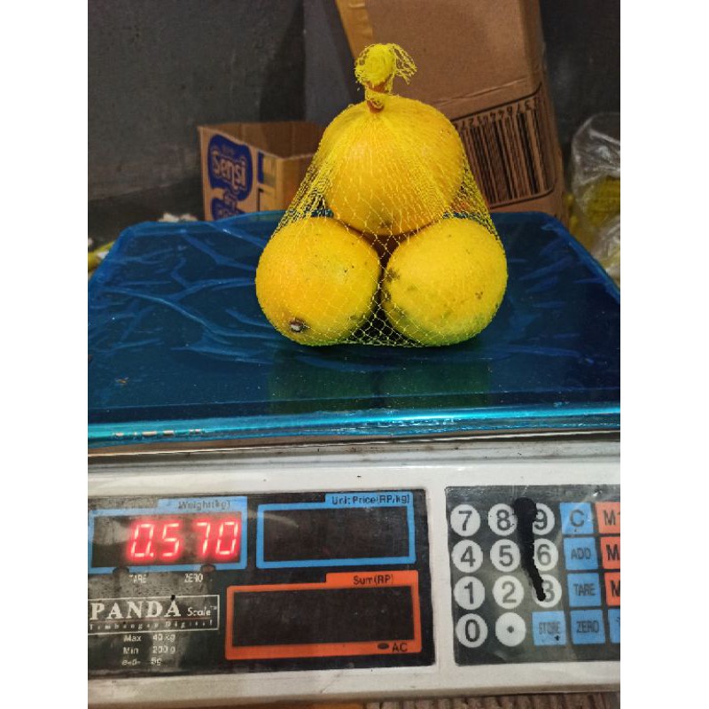Lemon California Rajut Siap di Jual Lagi