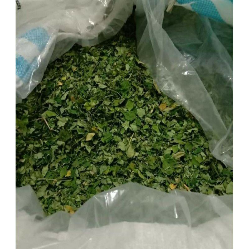 Daun kelor kering 1 kg