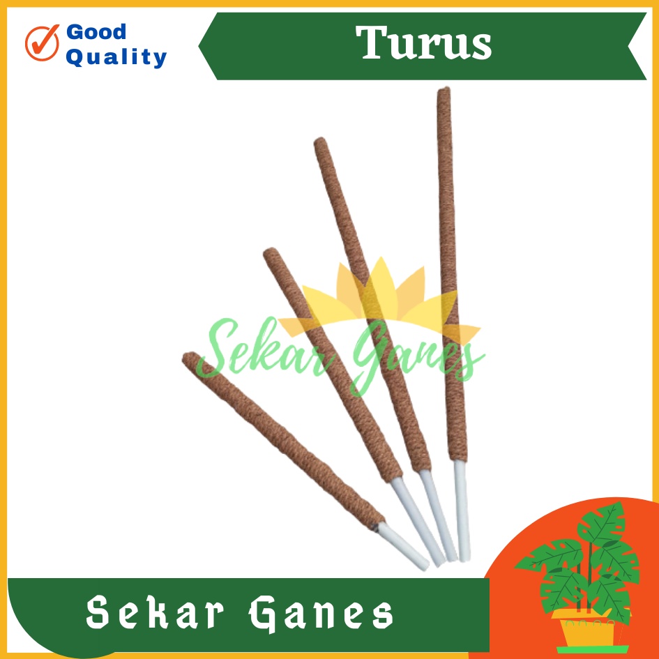 Turus Pipa Ulir 50 60 80 90 Cm Turus Sabut Kelapa Penyangga Tanaman Rambat 100cm Bkn Turus Lumut