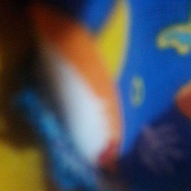 Tempat Box Telur 15 Lubang Sekat (kotak Dengan Sekat Khusus Telor)