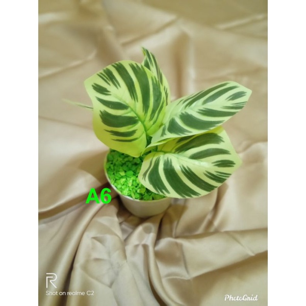 BUNGA PLASTIK BUNGA ARTIFICIAL BUNGA PALSU-A6