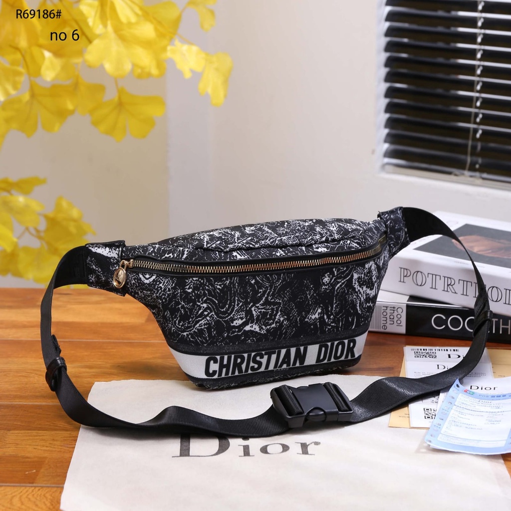 CD Canvas GHW Waist Bag R69186#