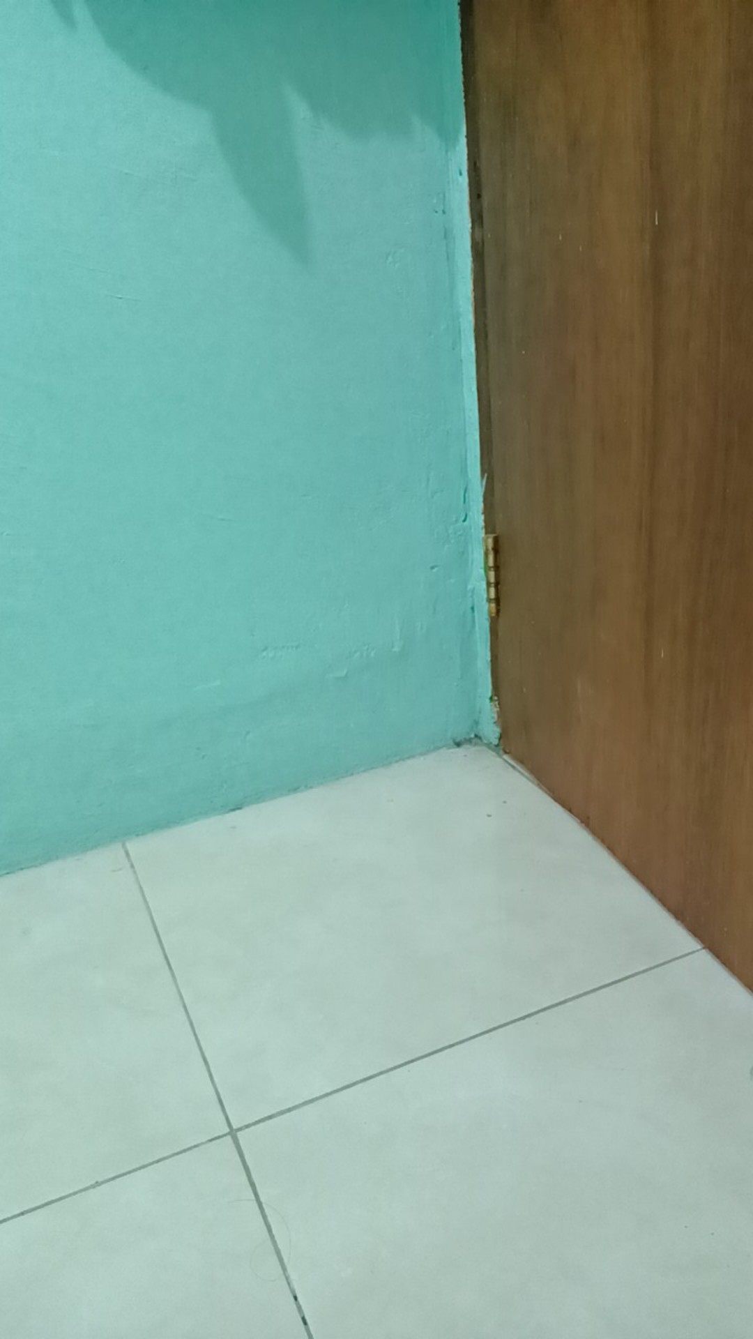 Sponge Cuci Piring Silikon / Sponge Sikat Pembersih Buah Sayur / Sponge Pembersih Anti Lengket