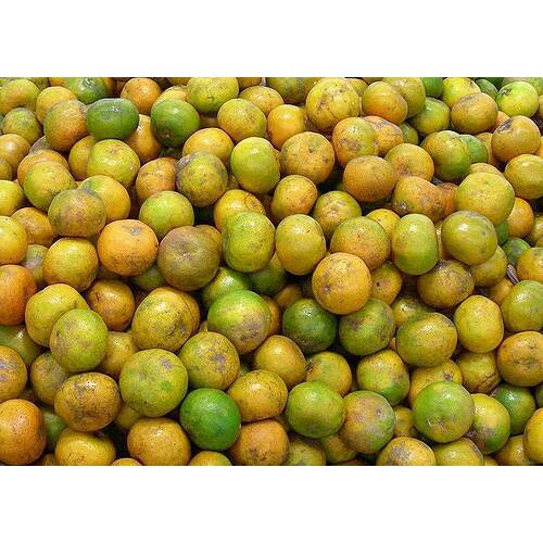 1 Kg Jeruk Medan Berapa Buah | Seputar Buah
