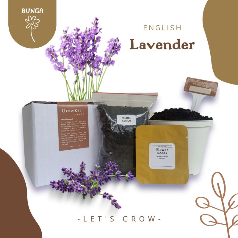 Lavender English Grow Kit Bunga Planter Kit Paket Berkebun Shopee Indonesia