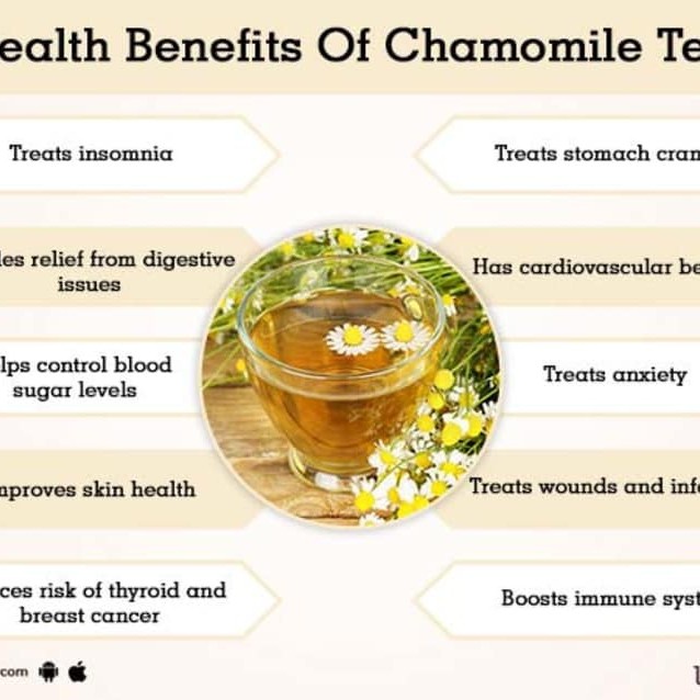 

B0621D Chamomile Tea : Chamomile Flower Tea / Teh Bunga Chamomile Isi 30 Tea 054