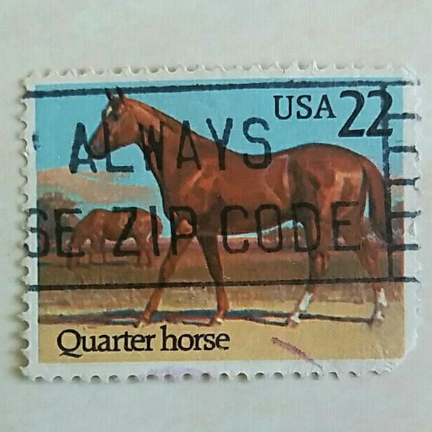 

(AD) Perangko Amerika Serikat 1985 Horses Issue - Quarter Horse (Equus ferus caballus) 22cents Used