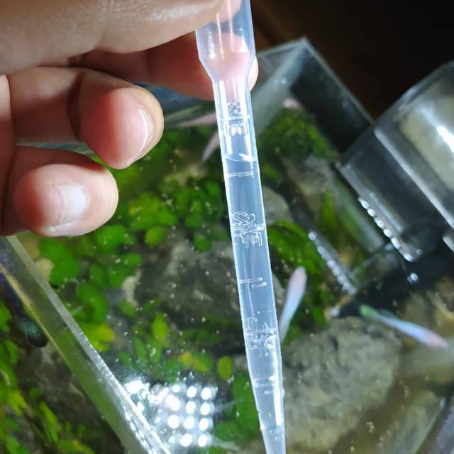 Pipet plastik 3ml / pipet pakan kutir , DM , jentik dan cacing