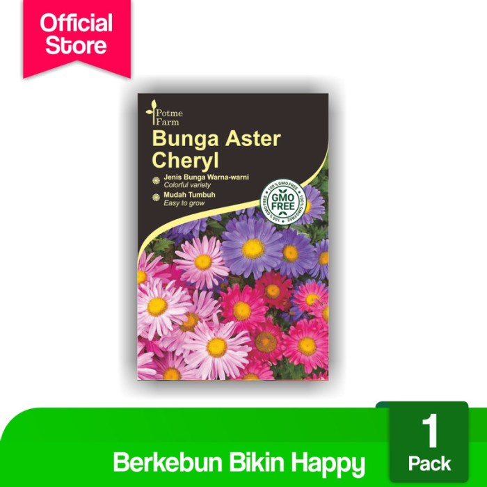 NEW Benih Bibit Bunga Aster Mix