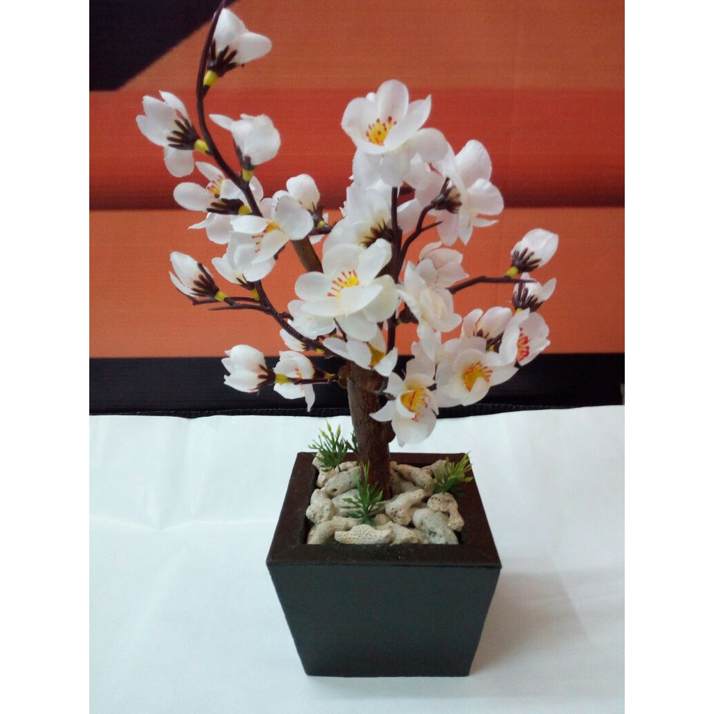 

Bunga Sakura Mini Putih