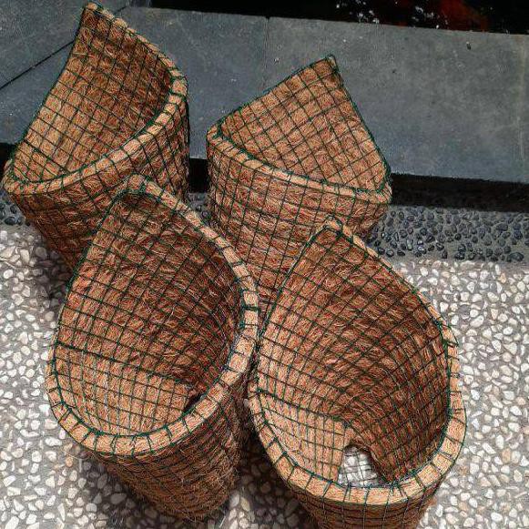 『BT』 Pot Tempel / pot anggrek bulan / dendrobium / pot sabut kelapa