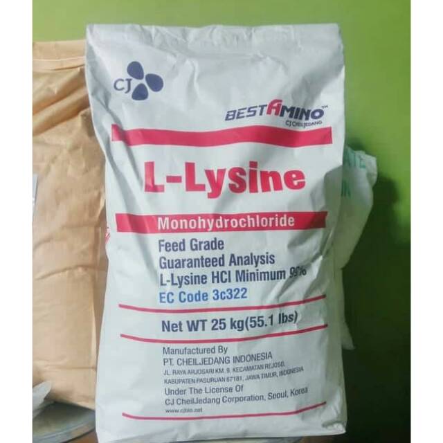 Lysine Asam amino hewan 25 kg / L-Lysine