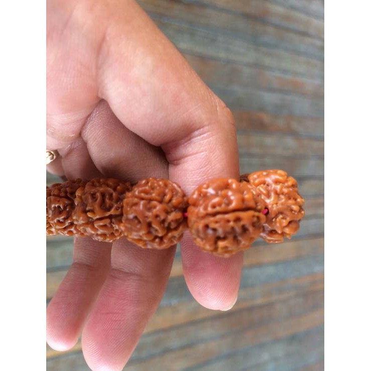 Gelang Jenitri Nepal 5 Garis Tembus / Biji Bodhi Rudraksha Pria Wanita