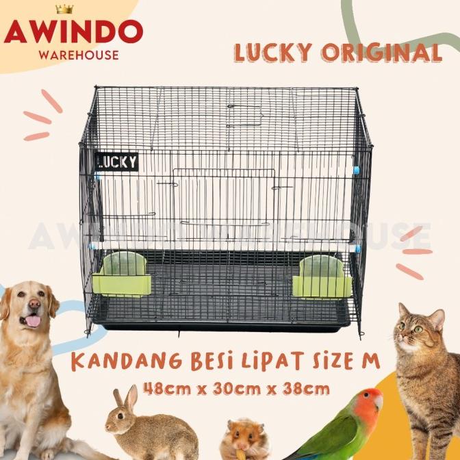 TERBARU LOVEBIRD SIZE KUCING LUCKY M LIPAT 468 PARKIT BESI PLECI UMBARAN HEWAN