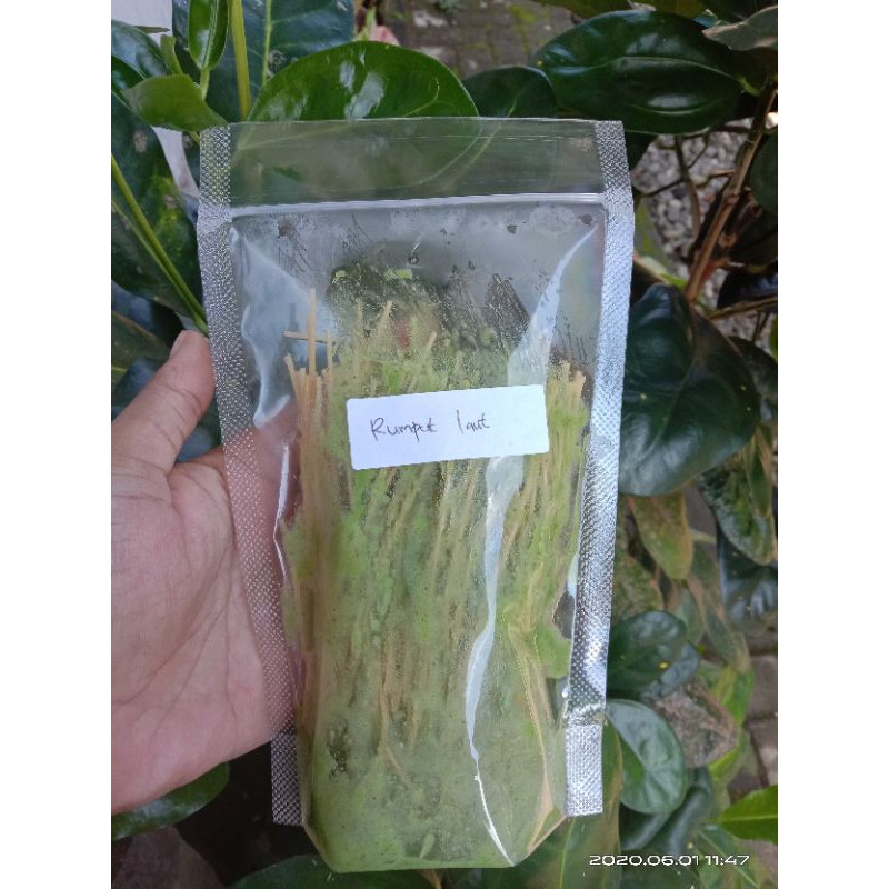 

Mi lidi bumbu basah pouch 200gr