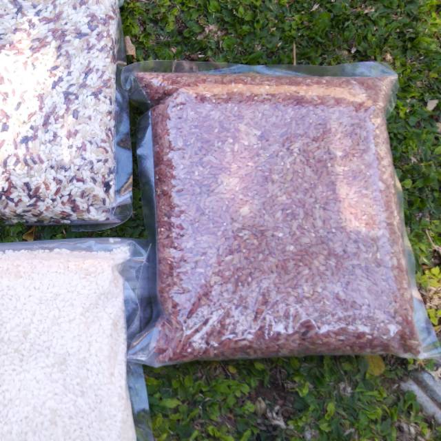 

Termurah Beras merah premium 500grm