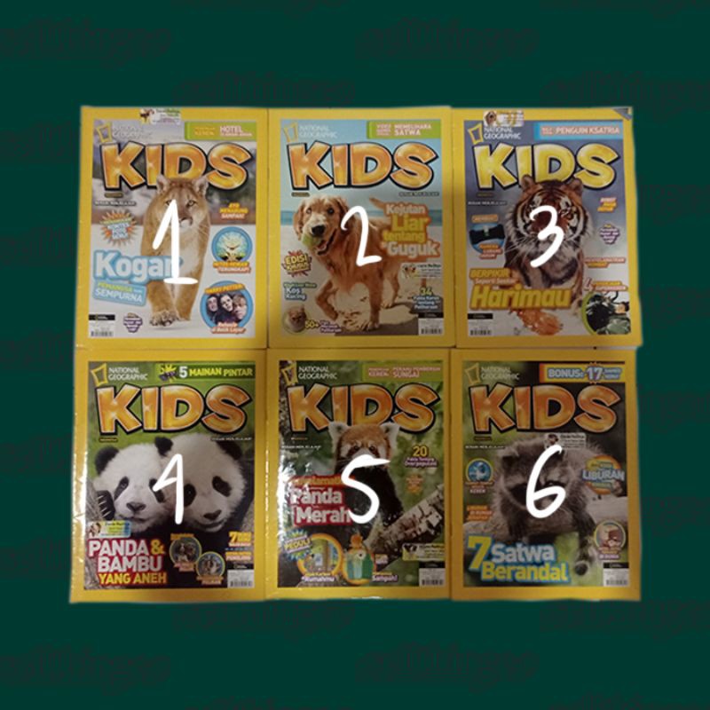 Preloved Second Buku Majalah Tabloid National Geographic Kids