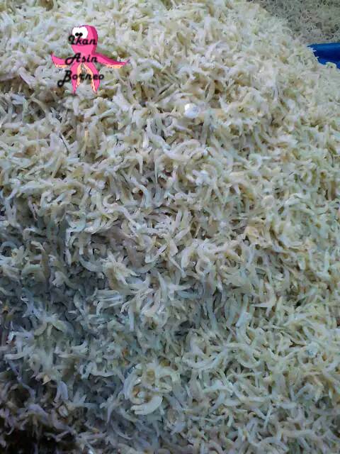 Ikan Asin Teri Medan / Teri Nasi Medan super 500 gram