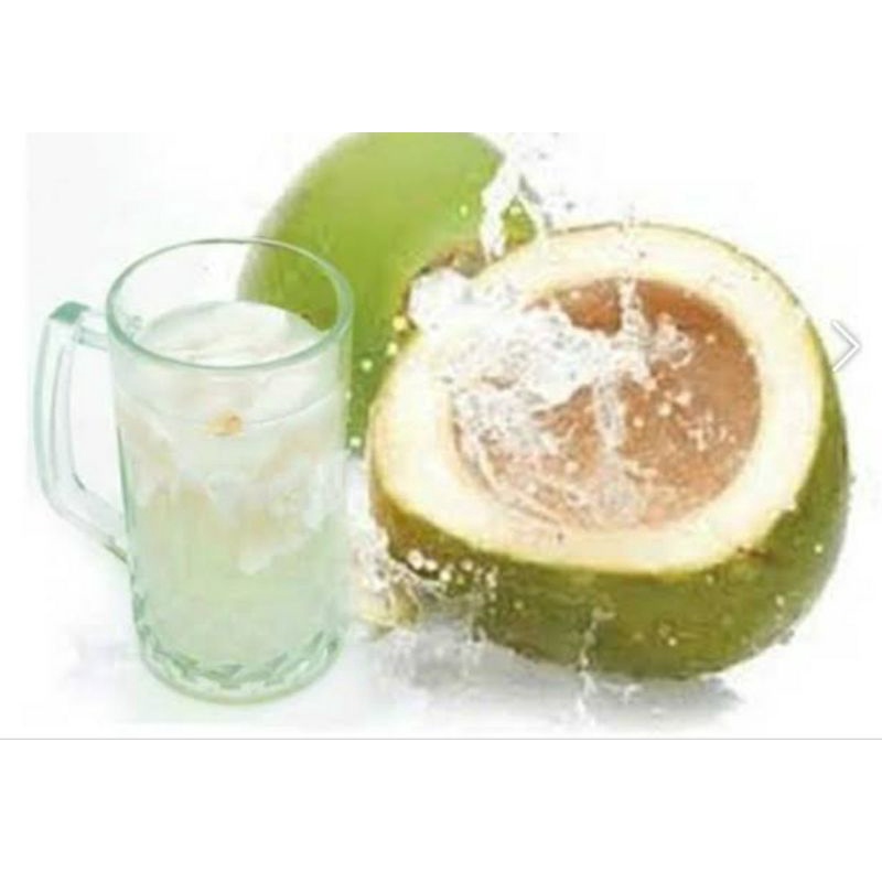

kelapa muda hijau segar