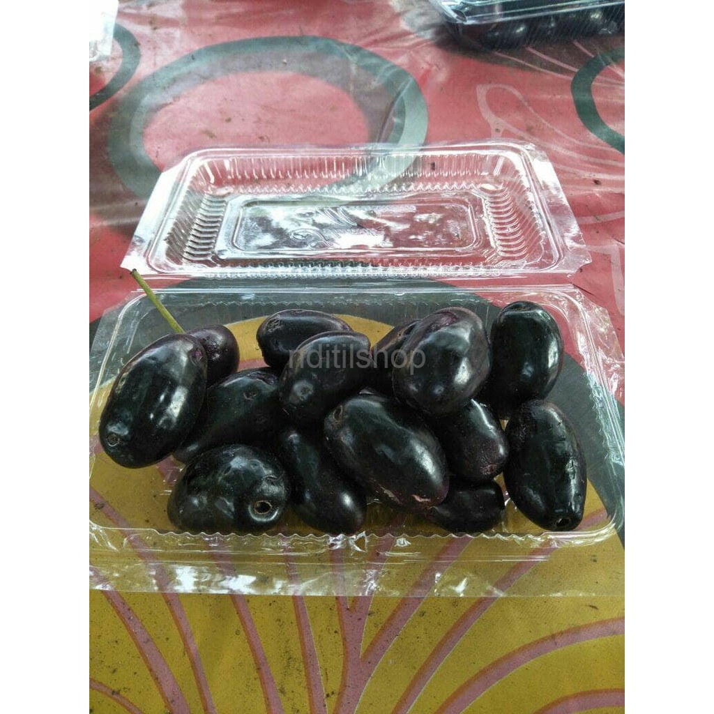 

buah jamblang 5