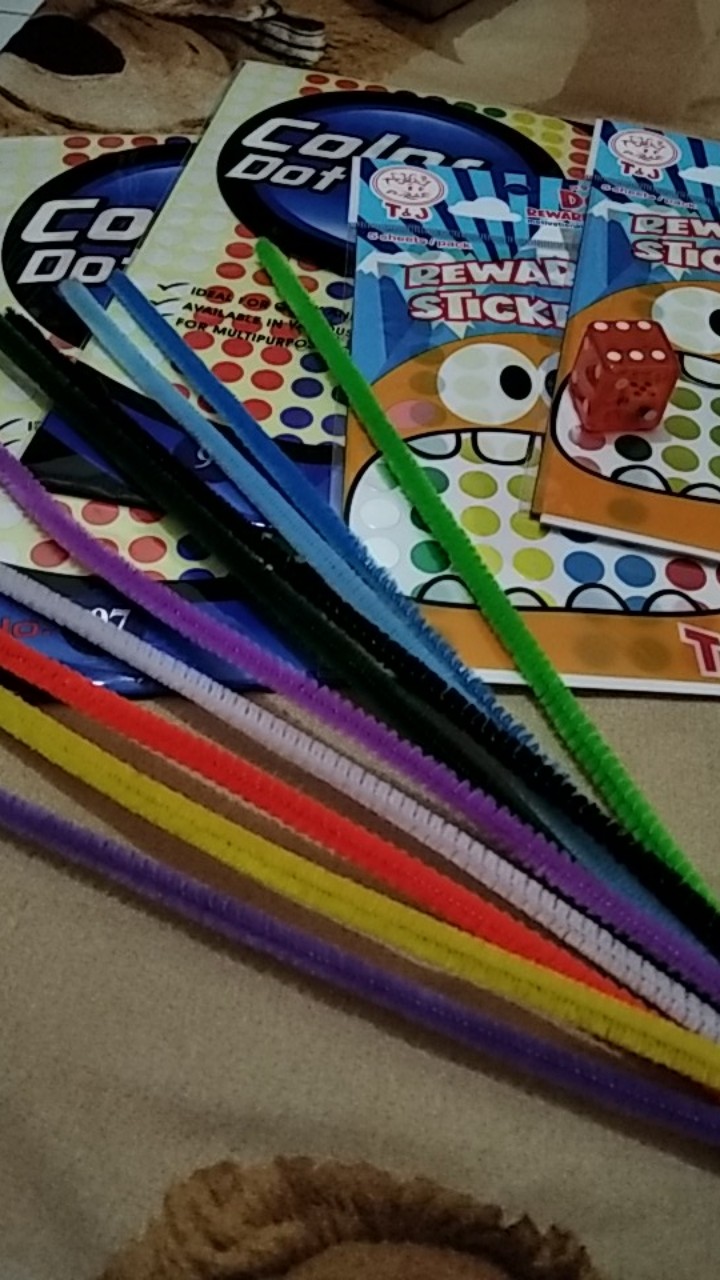 Pipe Cleaner Kawat Bulu Mercy