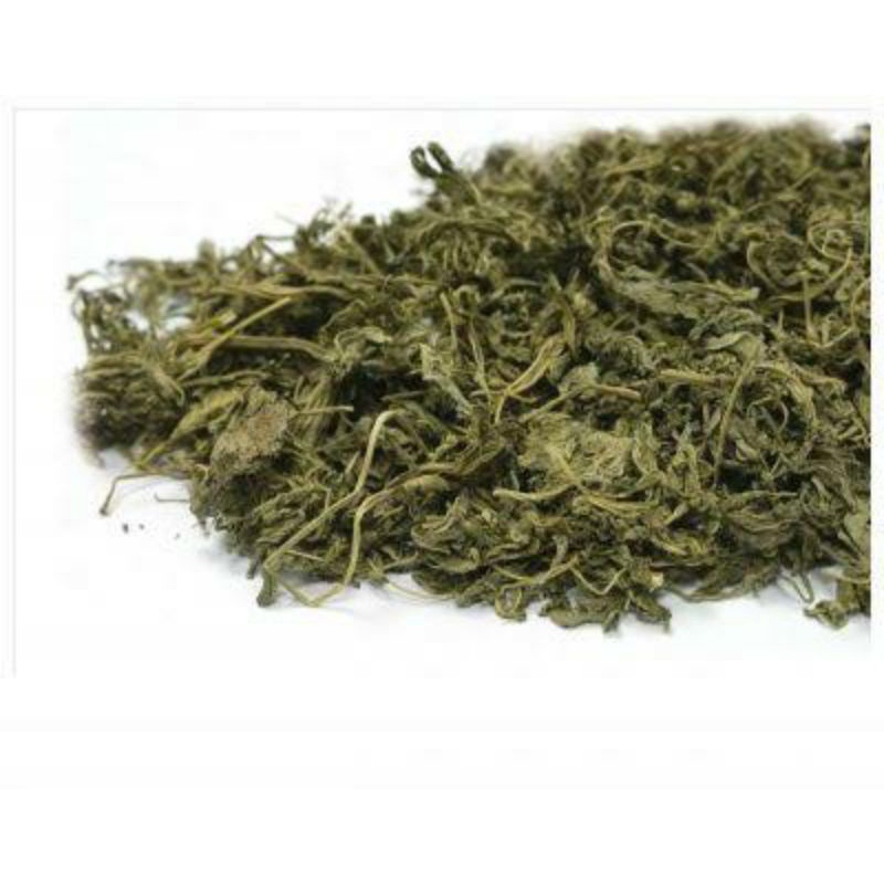 

100gr Herbal Yi Mu Cao 嫩益母草 Motherwort Herb Premium Grade