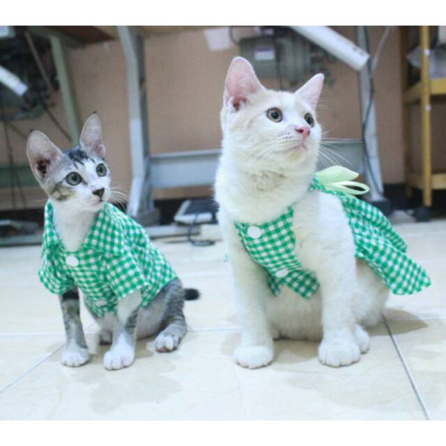 Baju kopel kucing kotak-kotak hijau lucu untuk kucing dan anjing size S M L XL (bisa pilih size)