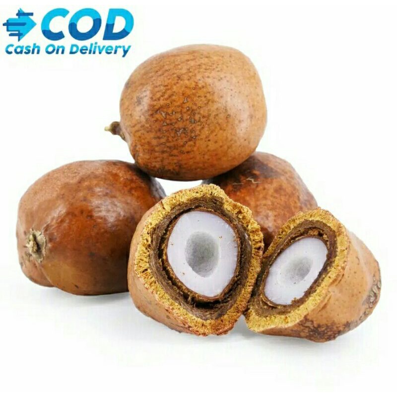 

buah zuriat