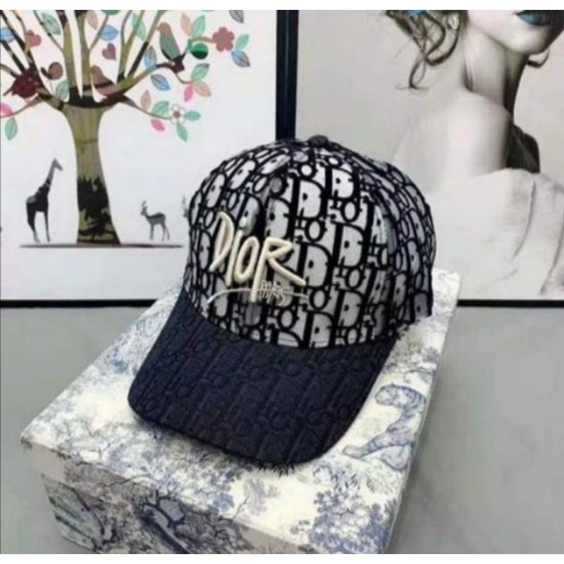 Baseball hat/topi Dior