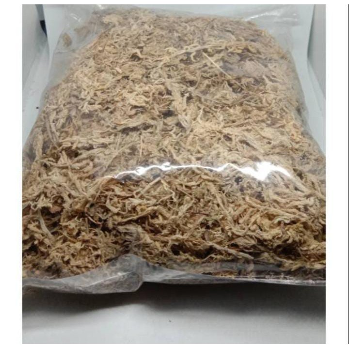 

Moss Chille kondisi fresh 100gr