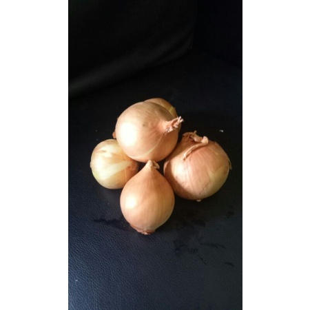

bawang bombay 200 gr