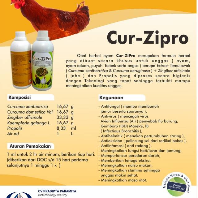 600+ Gambar Unggas HD Terbaru