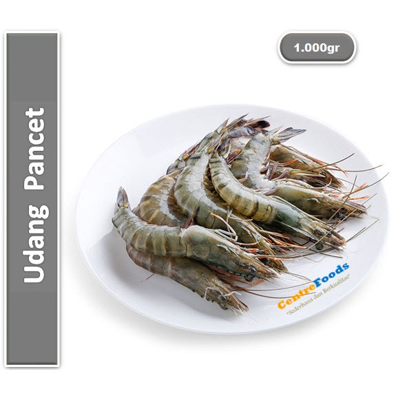 

Udang Pancet Besar Fresh | Big Pancet [ Harga Per KG ]