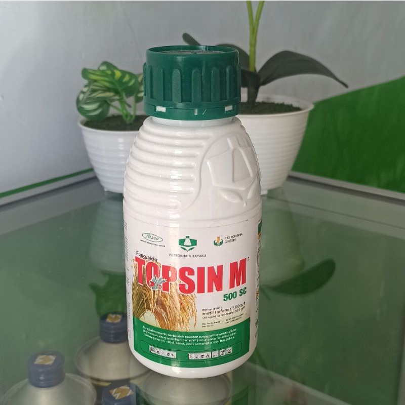 Fungisida Topsin obat blast kresek padi jamur padi
