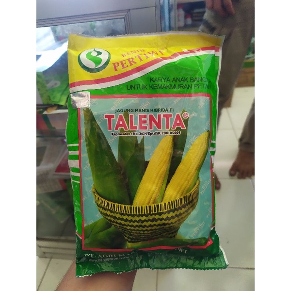 Benih jagung manis TALENTA (1750 butir)