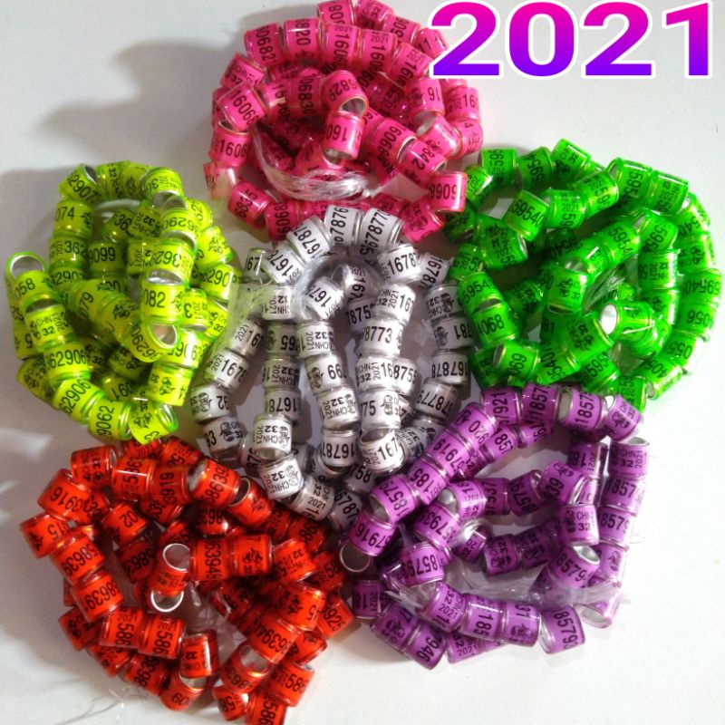 RING MERPATI IMPORT 2021