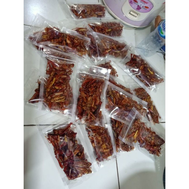 

Belalang goreng