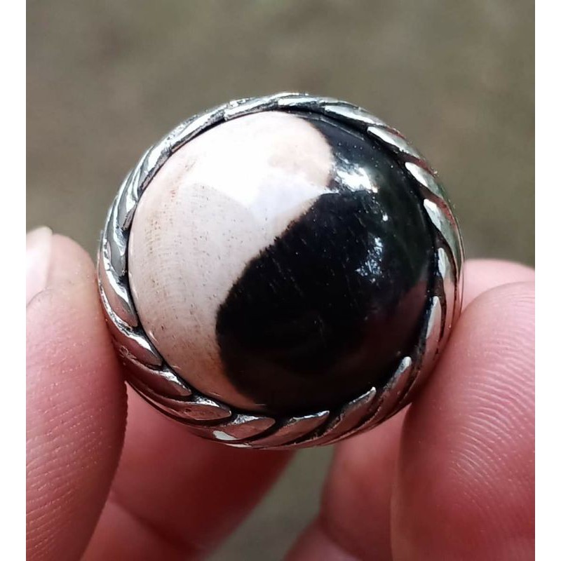 Batu Natural fosil galih kelor motif Yin Yang