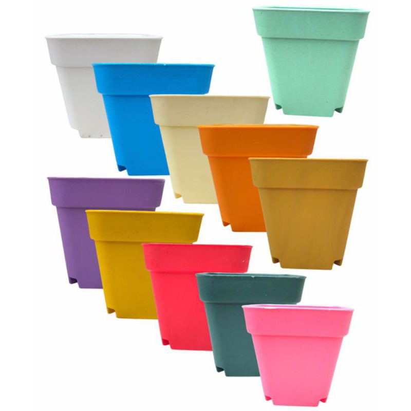 Pot Kaktus Mini Kotak Warna Warni 8cm