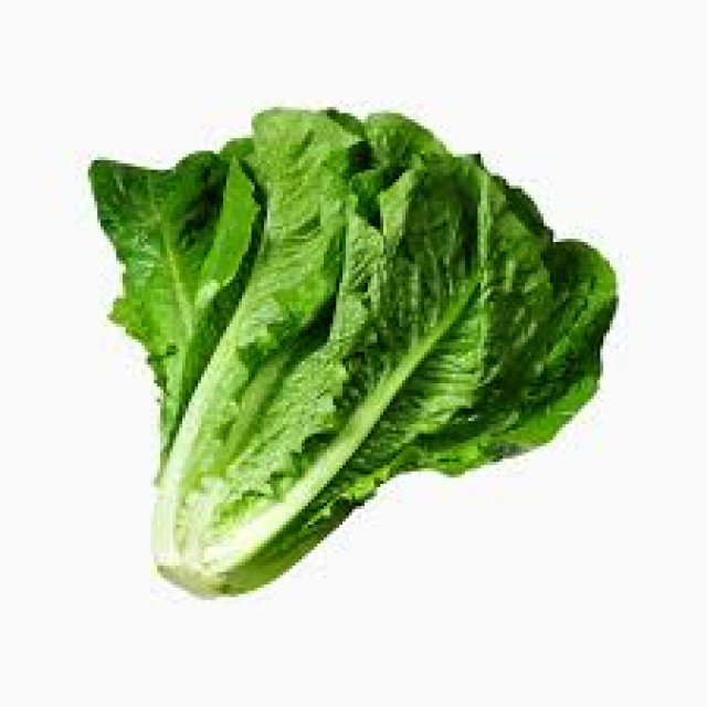 

KIRIM BESOK Lettuce Romaine Hidroponik (±200gr)