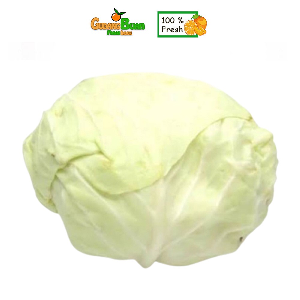 

Kol Putih/Kubis Sayur Segar 1pcs