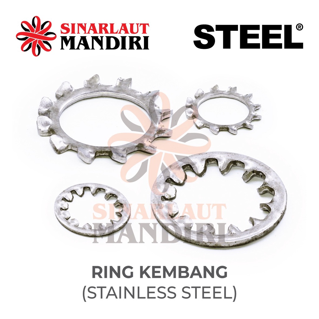 Ring Kembang Stainless Steel / Tooth Washer M 8