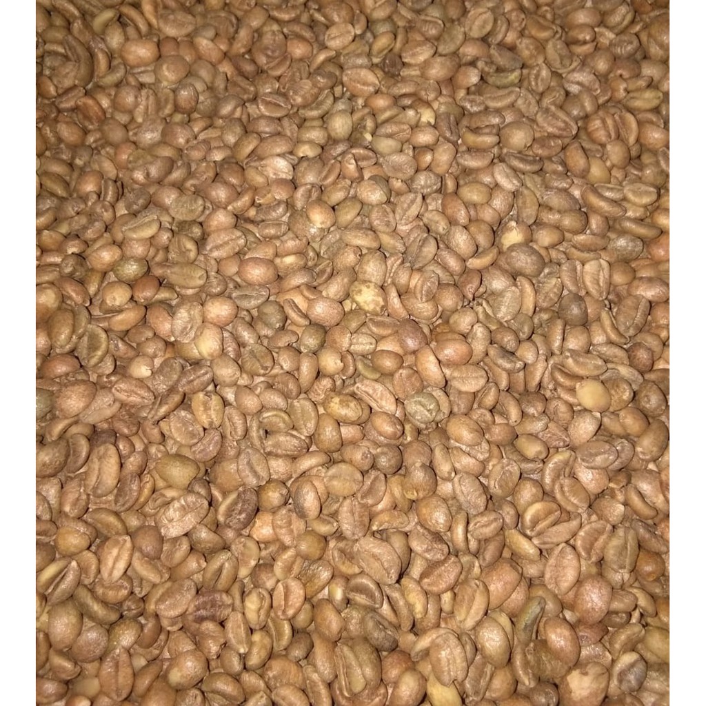 

Kopi Luwak Liar Liberika