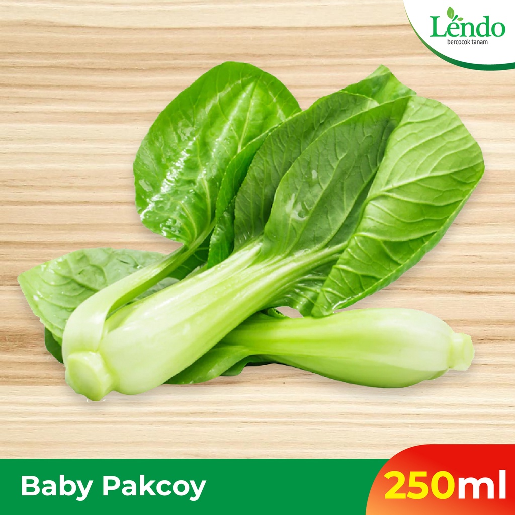 

Pakcoy Baby 250gr