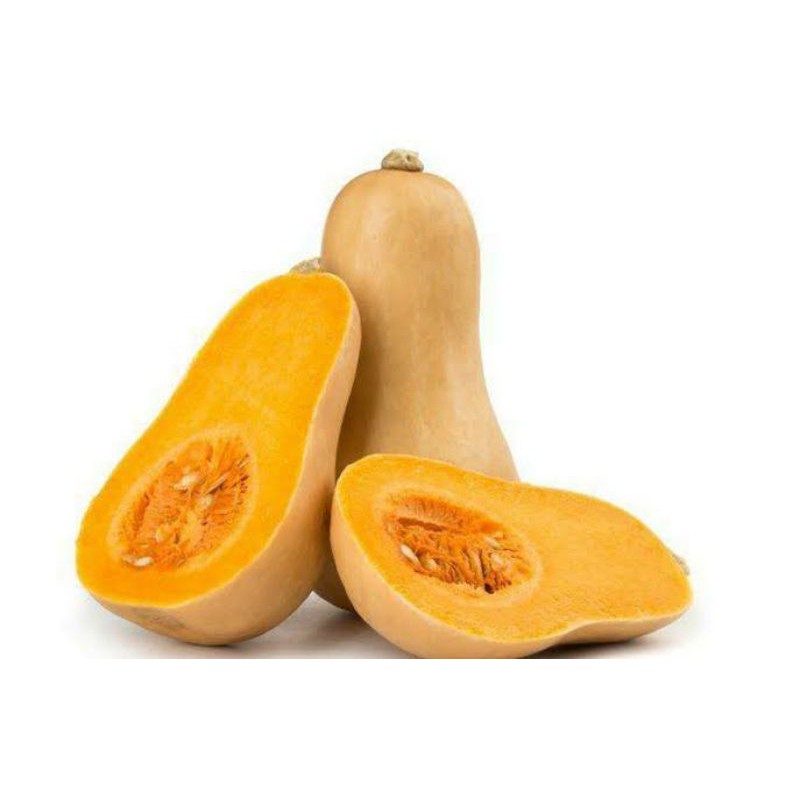 

labu madu/butternut /1pcs