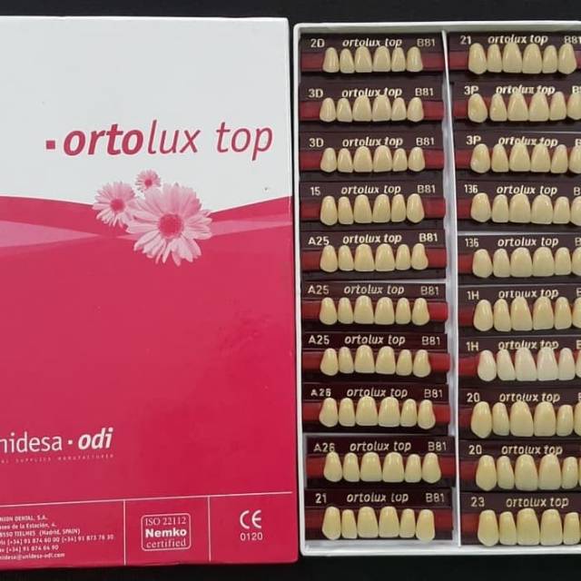 1 strip Gigi Palsu Akrilik ORTOLUX TOP | Acrylic Teeth