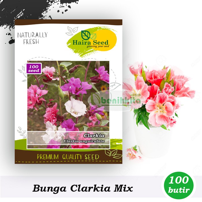 Benih-Bibit Bunga Clarkia (Haira Seed)