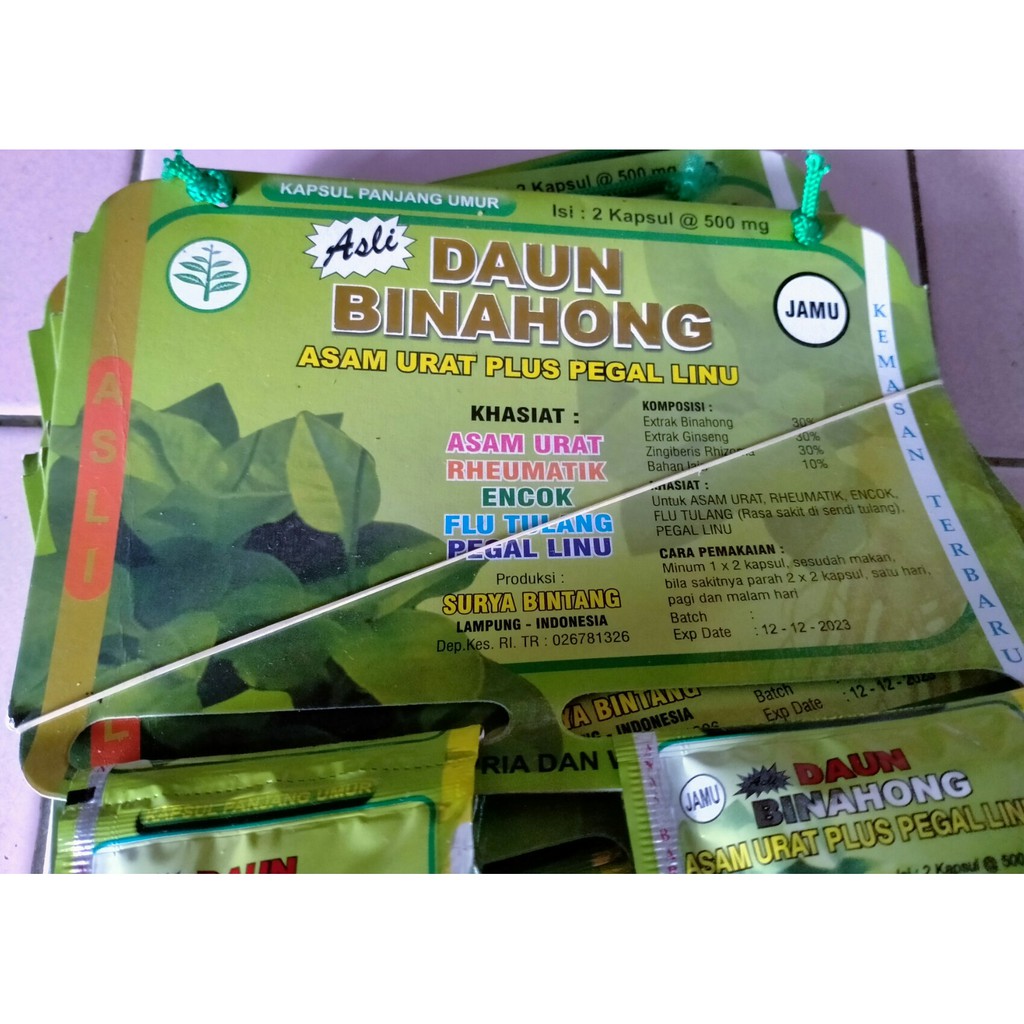 

Daun binahong obat asam urat dan pegal linu