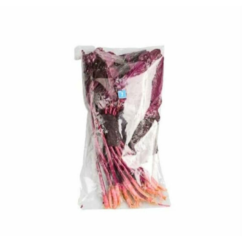 

bayam merah hidroponik | pack