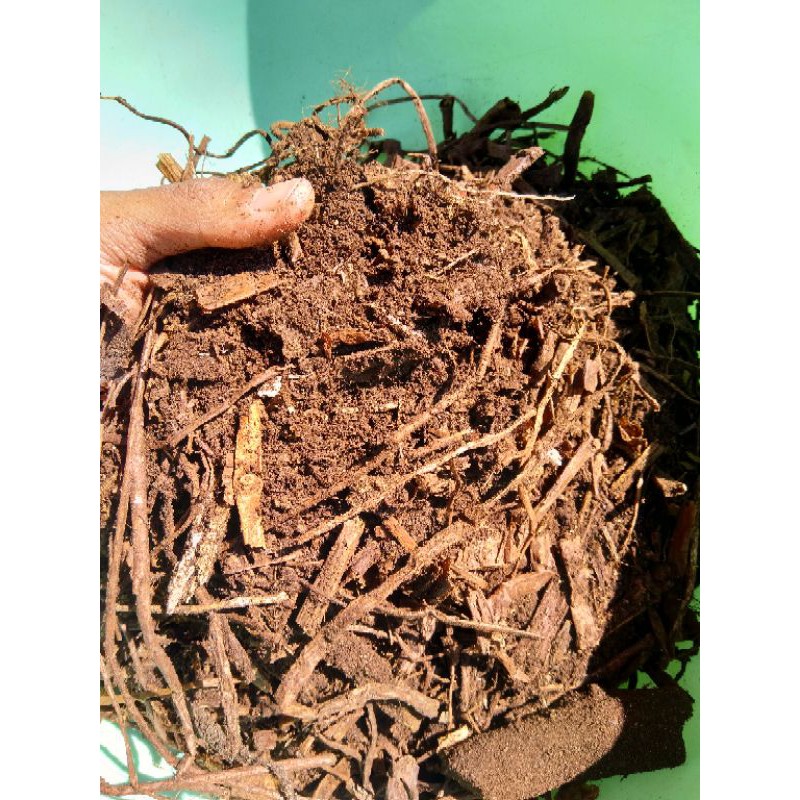 media tanam humus murni hutan (1kg)
